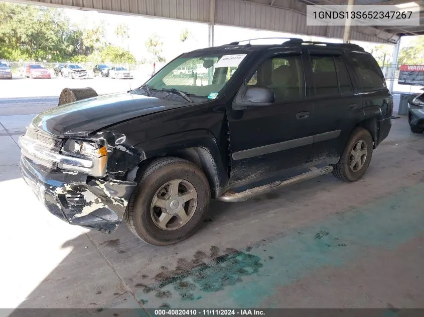 2005 Chevrolet Trailblazer Ls VIN: 1GNDS13S652347267 Lot: 40820410