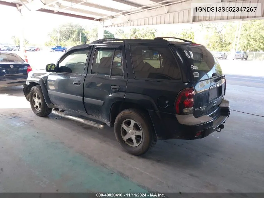 2005 Chevrolet Trailblazer Ls VIN: 1GNDS13S652347267 Lot: 40820410