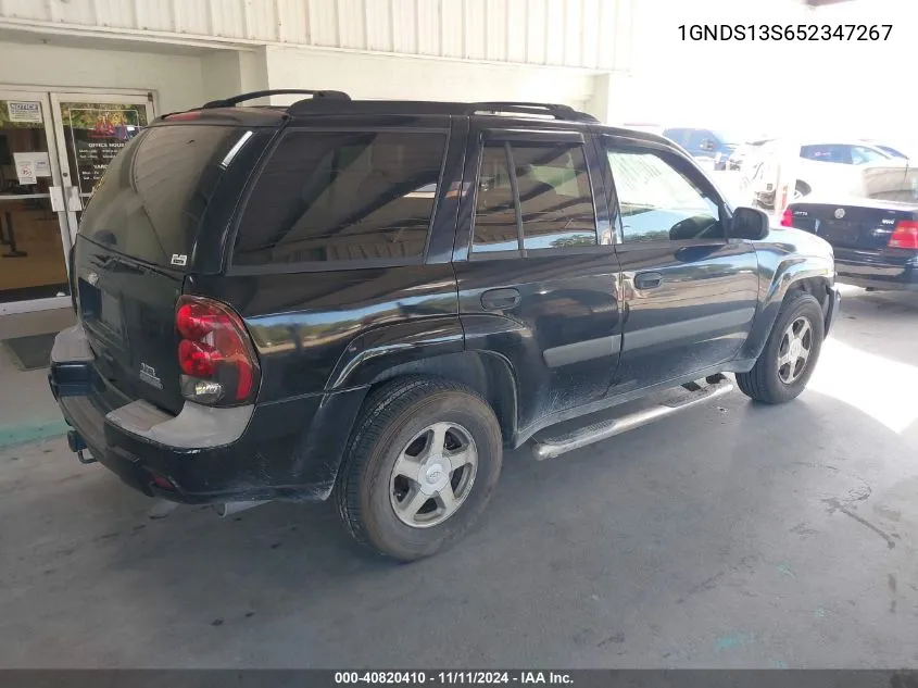 2005 Chevrolet Trailblazer Ls VIN: 1GNDS13S652347267 Lot: 40820410