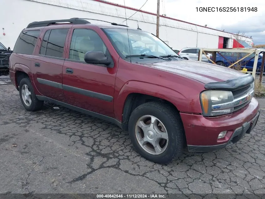 2005 Chevrolet Trailblazer VIN: 1GNEC16S256181948 Lot: 40842546