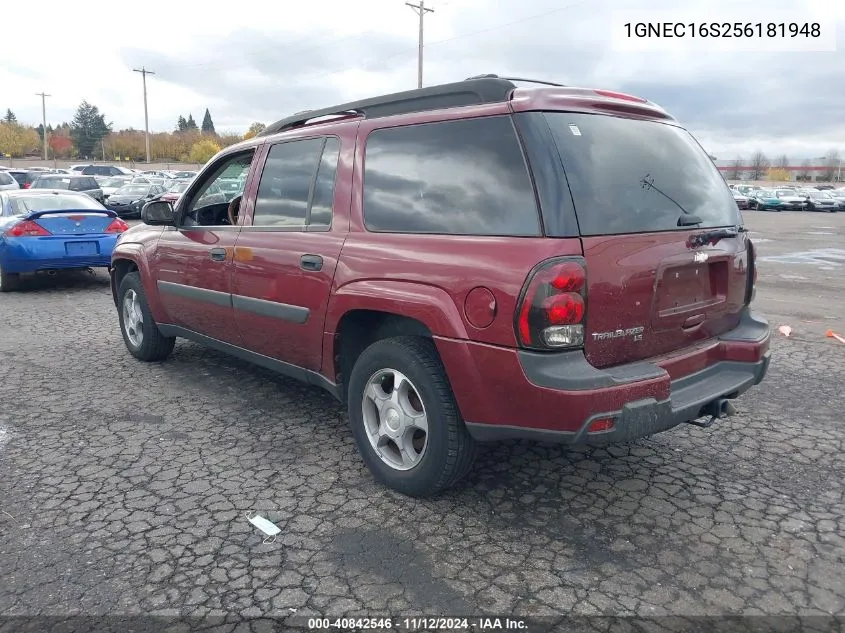 2005 Chevrolet Trailblazer VIN: 1GNEC16S256181948 Lot: 40842546