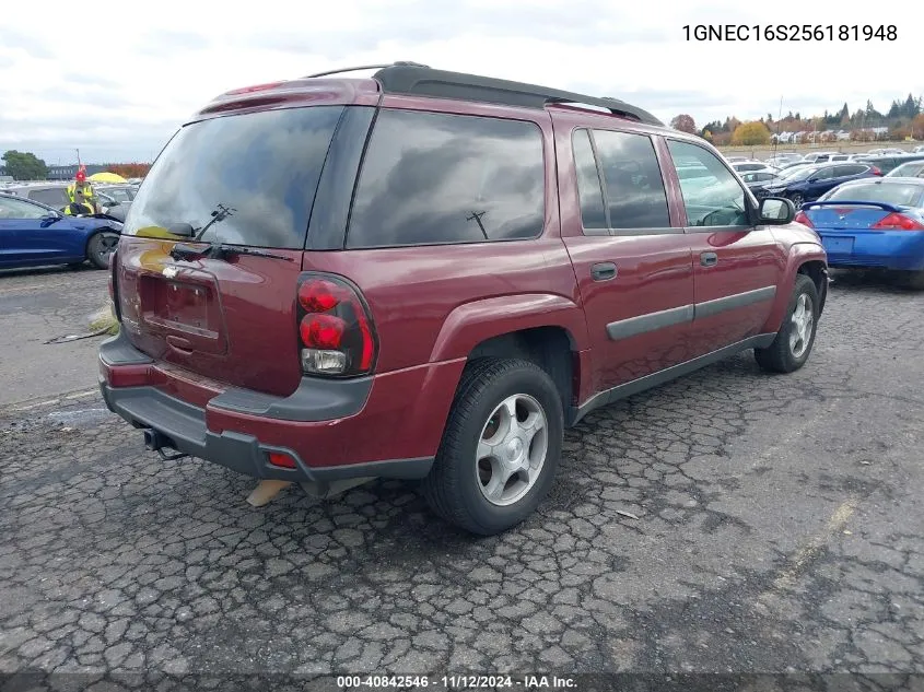 2005 Chevrolet Trailblazer VIN: 1GNEC16S256181948 Lot: 40842546