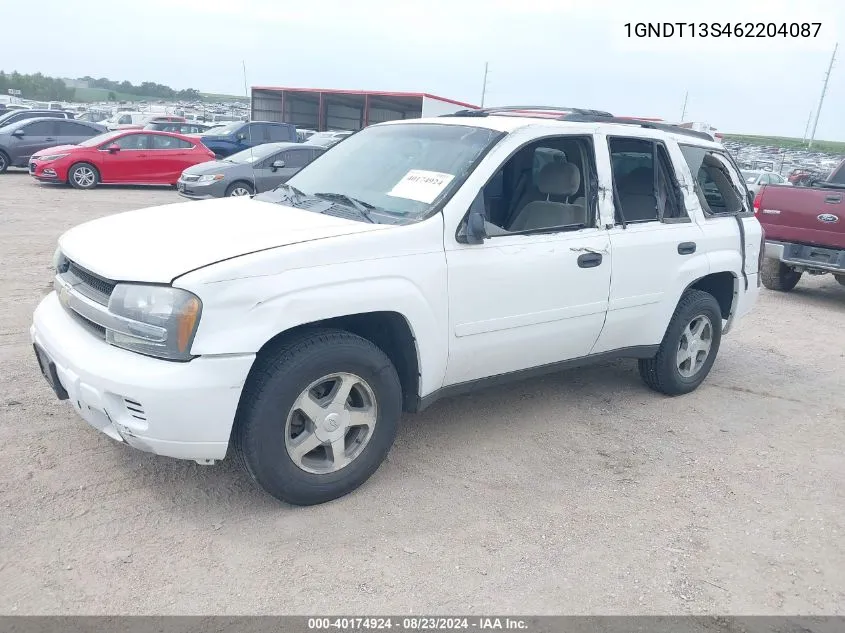 2006 Chevrolet Trailblazer Ls VIN: 1GNDT13S462204087 Lot: 40174924