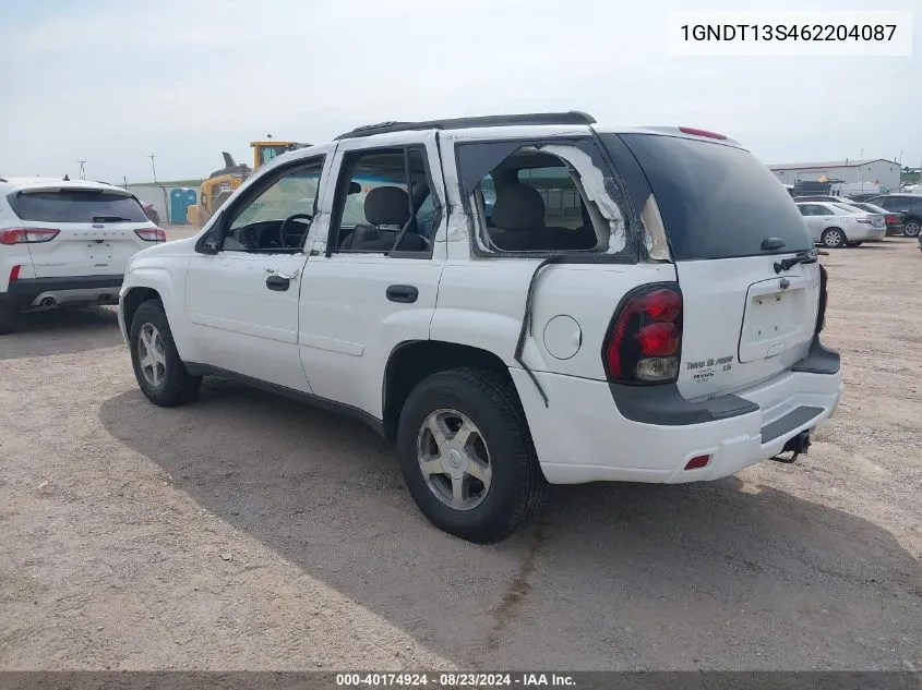 2006 Chevrolet Trailblazer Ls VIN: 1GNDT13S462204087 Lot: 40174924