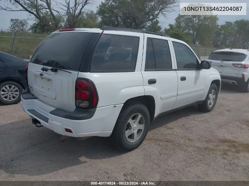 2006 Chevrolet Trailblazer Ls VIN: 1GNDT13S462204087 Lot: 40174924