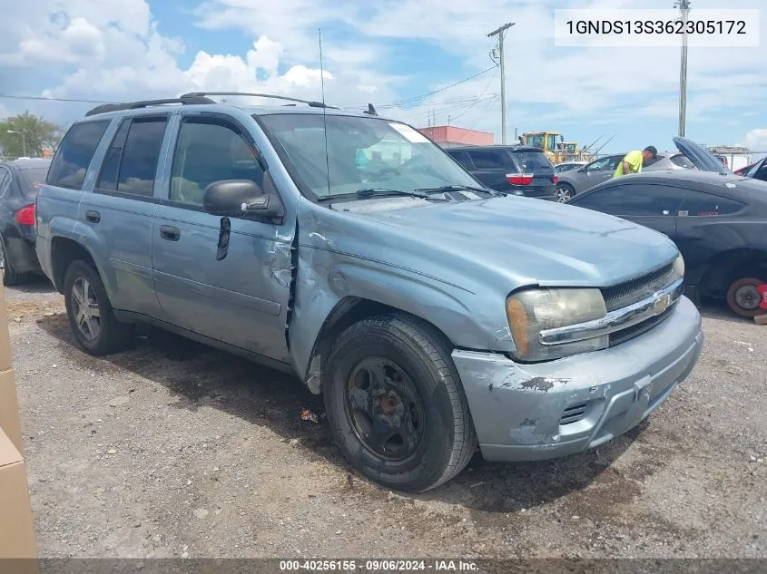 2006 Chevrolet Trailblazer Ls VIN: 1GNDS13S362305172 Lot: 40256155