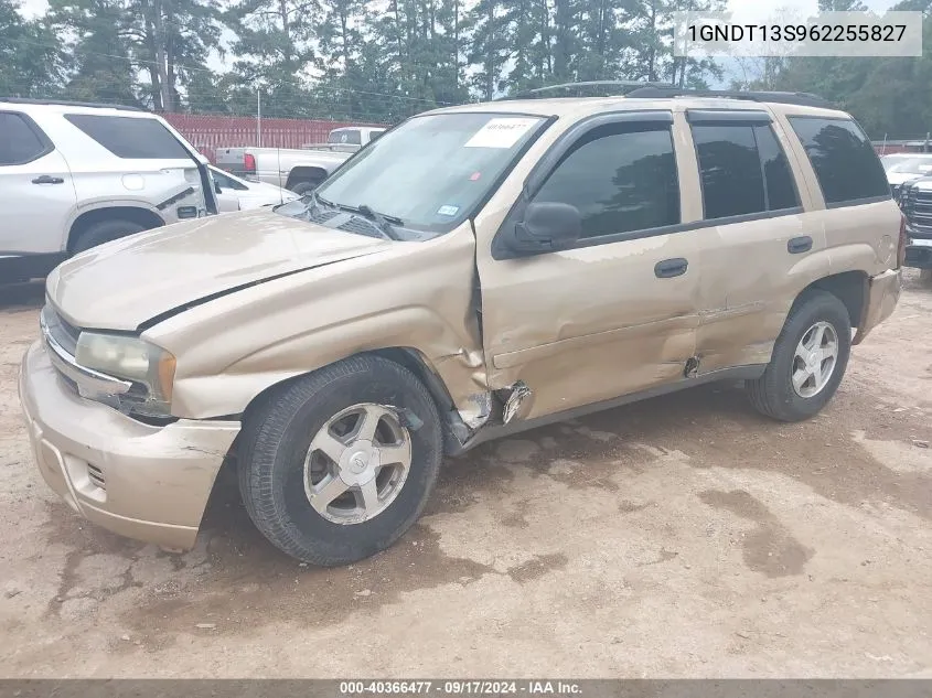 2006 Chevrolet Trailblazer Ls VIN: 1GNDT13S962255827 Lot: 40366477