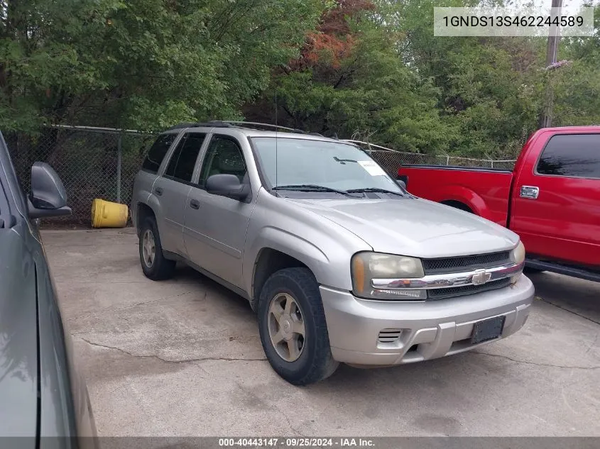 2006 Chevrolet Trailblazer Ls VIN: 1GNDS13S462244589 Lot: 40443147