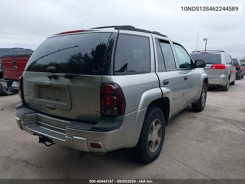 2006 Chevrolet Trailblazer Ls VIN: 1GNDS13S462244589 Lot: 40443147