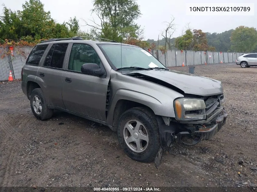 2006 Chevrolet Trailblazer Ls VIN: 1GNDT13SX62109789 Lot: 40450955