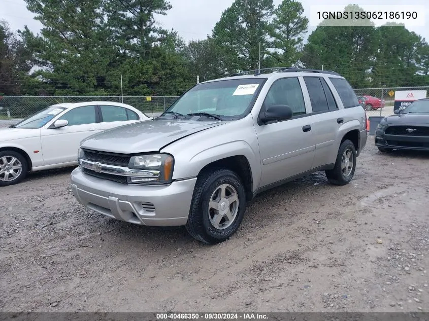 2006 Chevrolet Trailblazer Ls VIN: 1GNDS13S062186190 Lot: 40466350