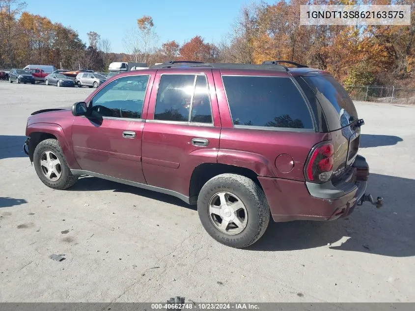 2006 Chevrolet Trailblazer Ls VIN: 1GNDT13S862163575 Lot: 40662748