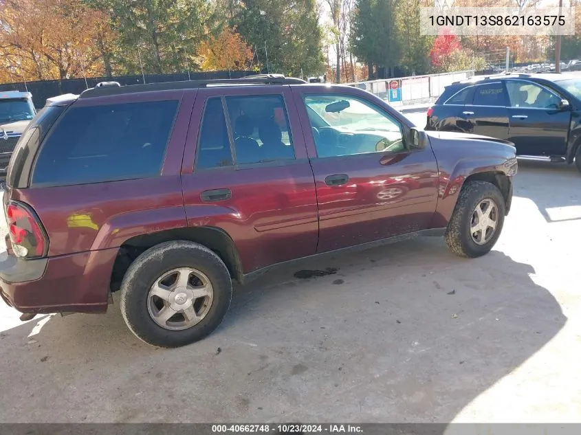 2006 Chevrolet Trailblazer Ls VIN: 1GNDT13S862163575 Lot: 40662748