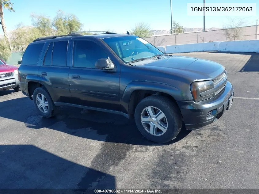 2006 Chevrolet Trailblazer Ls VIN: 1GNES13M362172063 Lot: 40796682