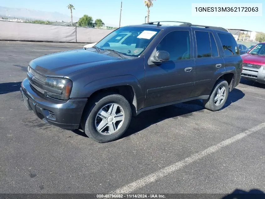 2006 Chevrolet Trailblazer Ls VIN: 1GNES13M362172063 Lot: 40796682