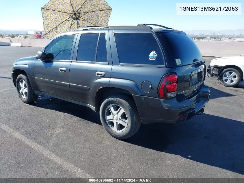 2006 Chevrolet Trailblazer Ls VIN: 1GNES13M362172063 Lot: 40796682