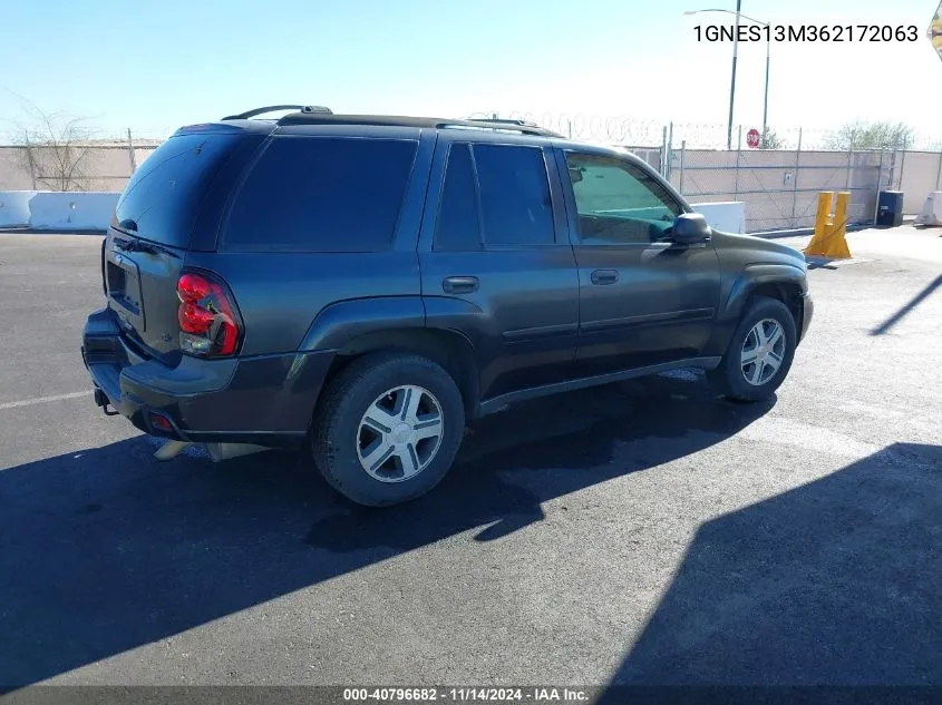 2006 Chevrolet Trailblazer Ls VIN: 1GNES13M362172063 Lot: 40796682