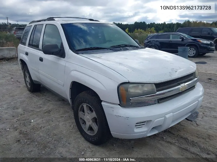 2006 Chevrolet Trailblazer Ls VIN: 1GNDS13S962173728 Lot: 40863631