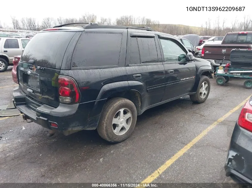 2006 Chevrolet Trailblazer Ls VIN: 1GNDT13S962209687 Lot: 40866356