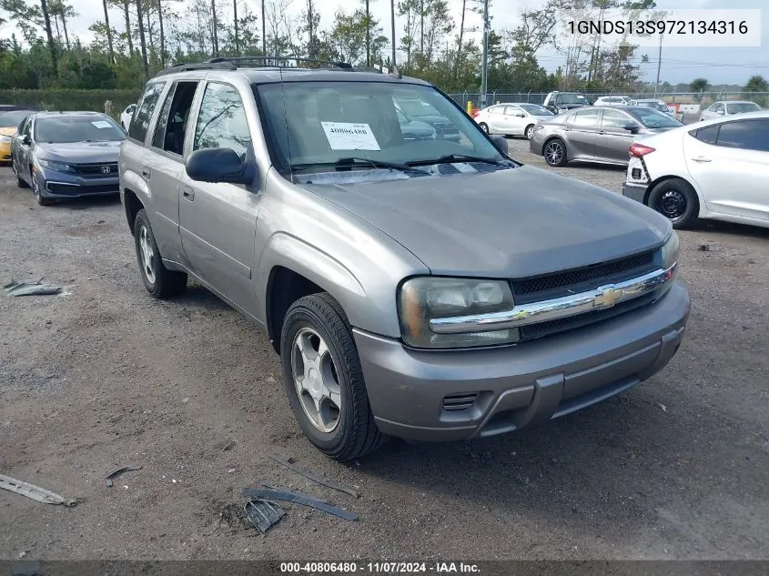 2007 Chevrolet Trailblazer Ls VIN: 1GNDS13S972134316 Lot: 40806480