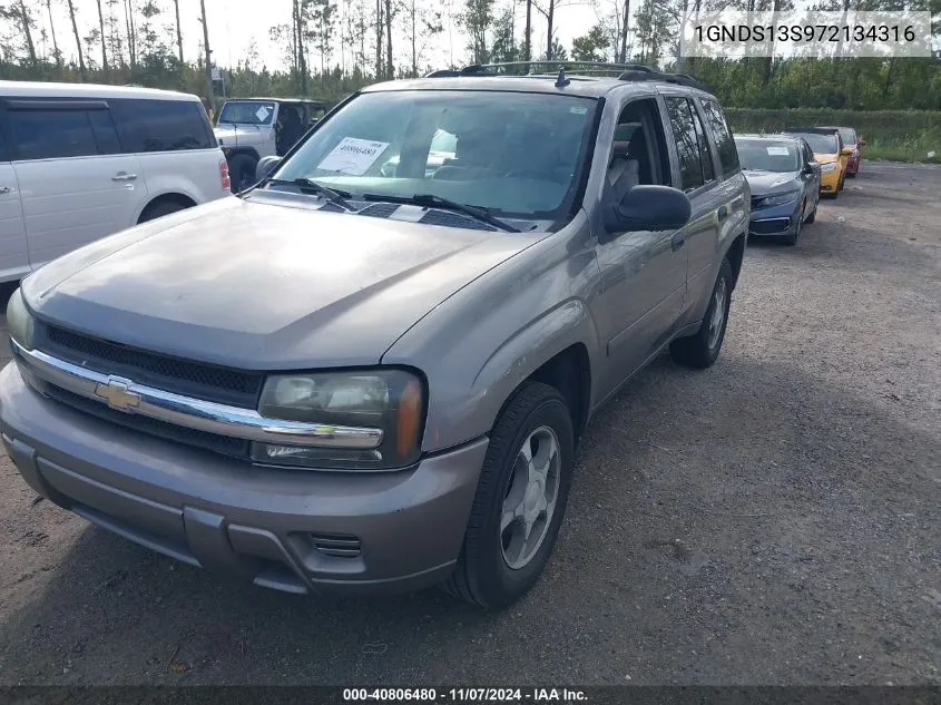 2007 Chevrolet Trailblazer Ls VIN: 1GNDS13S972134316 Lot: 40806480