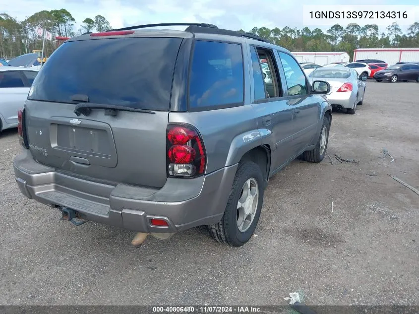 2007 Chevrolet Trailblazer Ls VIN: 1GNDS13S972134316 Lot: 40806480