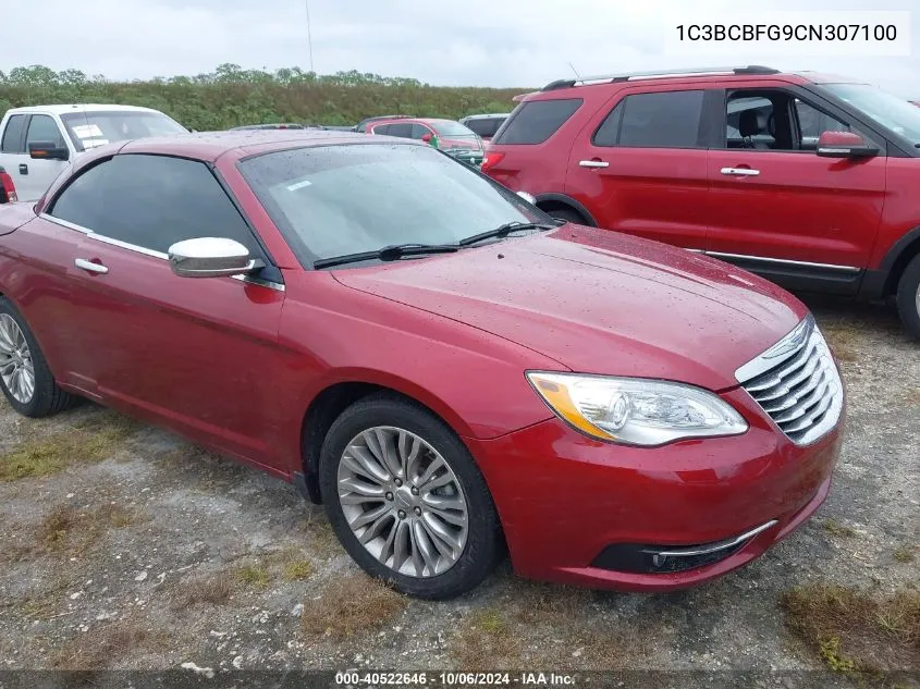 2012 Chrysler 200 Limited VIN: 1C3BCBFG9CN307100 Lot: 40522646