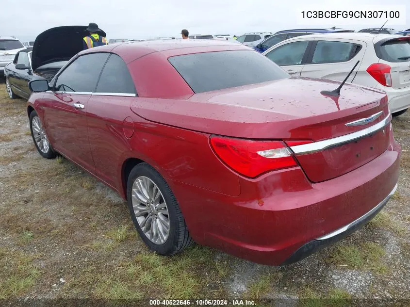 2012 Chrysler 200 Limited VIN: 1C3BCBFG9CN307100 Lot: 40522646