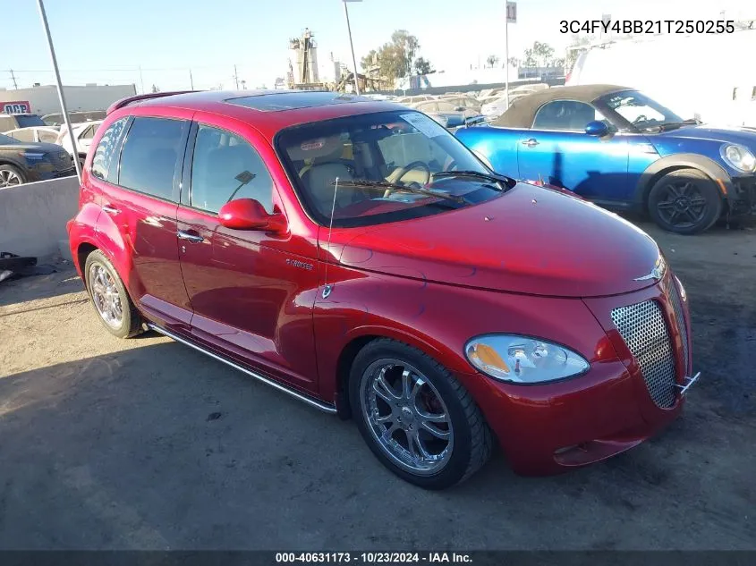 2001 Chrysler Pt Cruiser VIN: 3C4FY4BB21T250255 Lot: 40631173