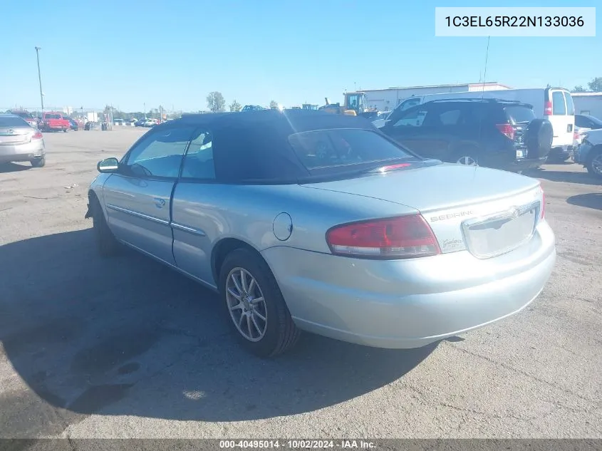 2002 Chrysler Sebring Limited VIN: 1C3EL65R22N133036 Lot: 40495014