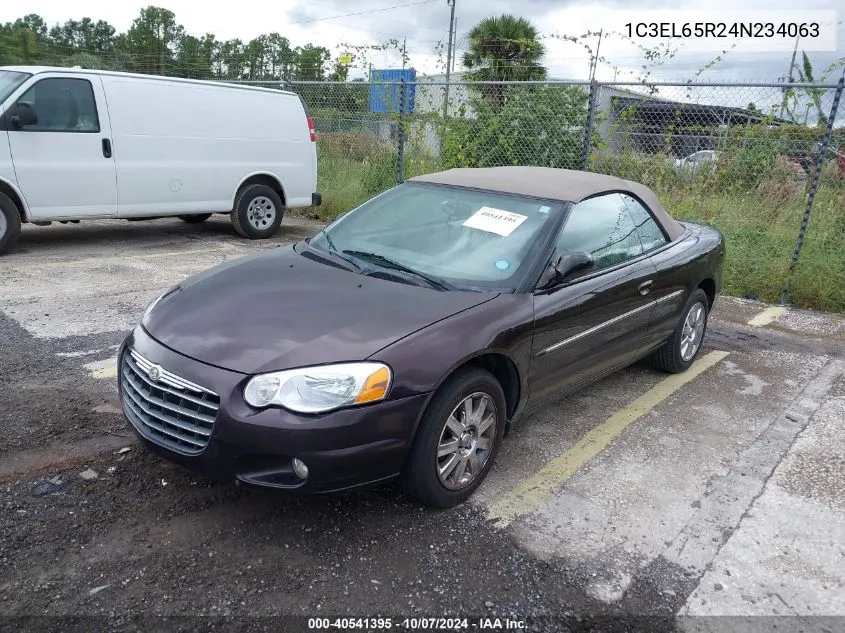 2004 Chrysler Sebring Limited VIN: 1C3EL65R24N234063 Lot: 40541395