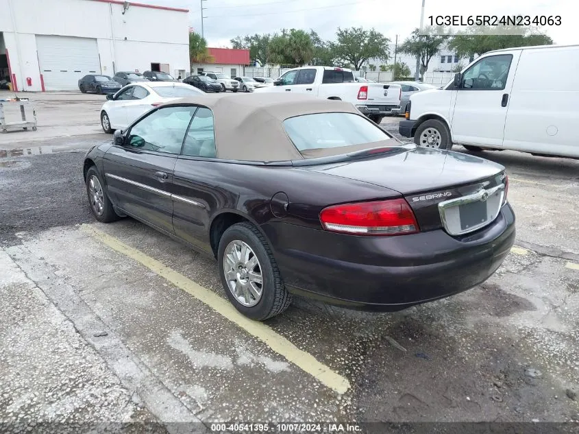 2004 Chrysler Sebring Limited VIN: 1C3EL65R24N234063 Lot: 40541395