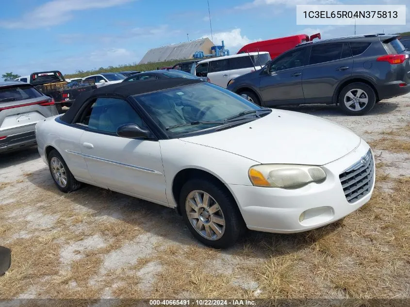 2004 Chrysler Sebring Limited VIN: 1C3EL65R04N375813 Lot: 40665491