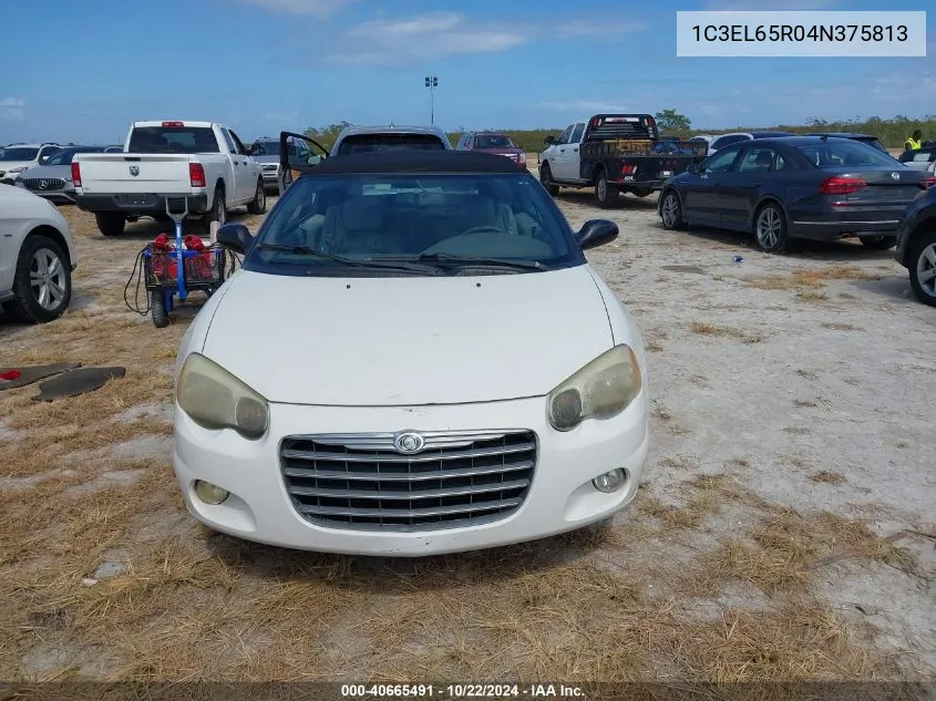 2004 Chrysler Sebring Limited VIN: 1C3EL65R04N375813 Lot: 40665491