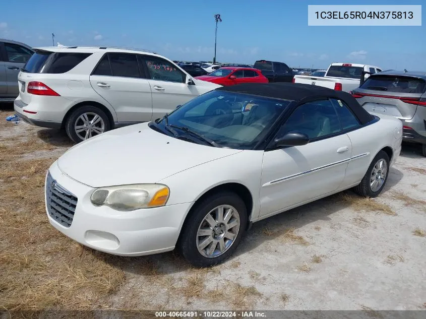 2004 Chrysler Sebring Limited VIN: 1C3EL65R04N375813 Lot: 40665491