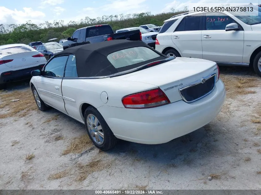 2004 Chrysler Sebring Limited VIN: 1C3EL65R04N375813 Lot: 40665491