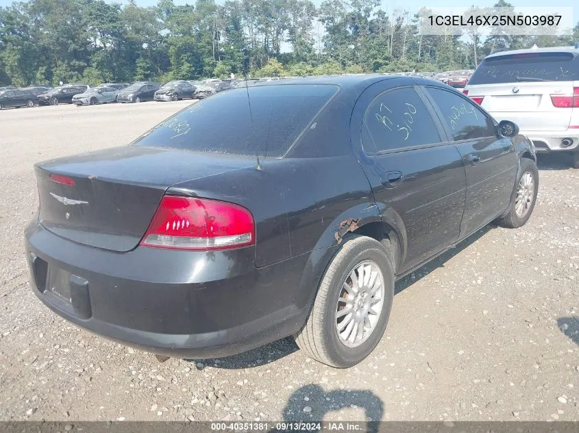 2005 Chrysler Sebring VIN: 1C3EL46X25N503987 Lot: 40351381