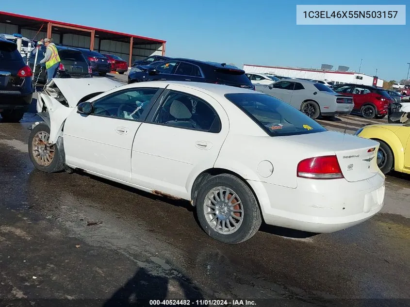 2005 Chrysler Sebring VIN: 1C3EL46X55N503157 Lot: 40524482