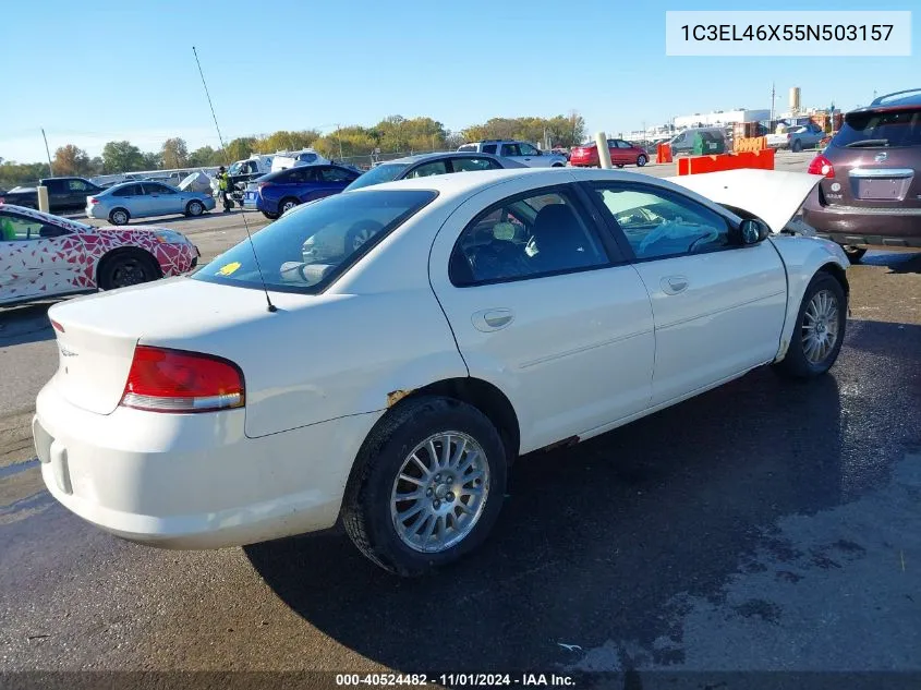 2005 Chrysler Sebring VIN: 1C3EL46X55N503157 Lot: 40524482