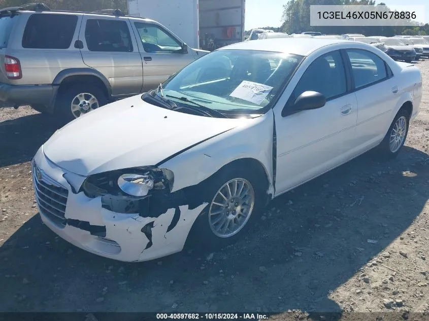 2005 Chrysler Sebring VIN: 1C3EL46X05N678836 Lot: 40597682