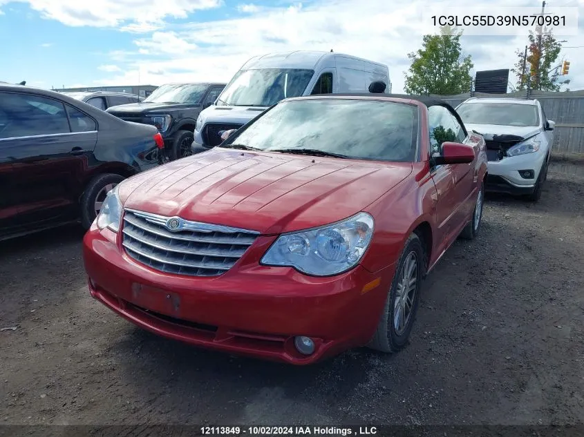 2009 Chrysler Sebring Touring VIN: 1C3LC55D39N570981 Lot: 12113849