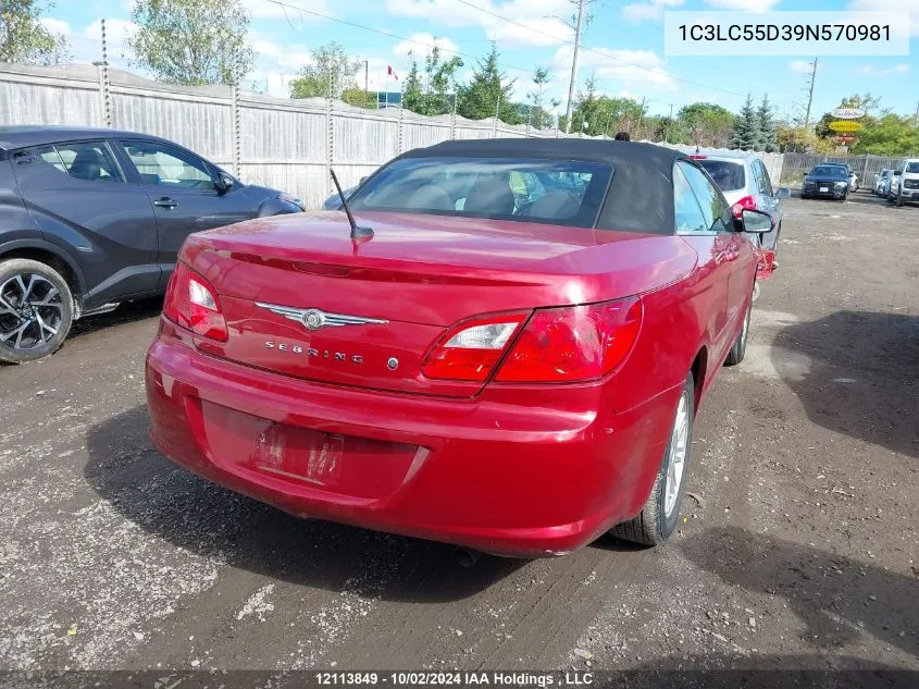 2009 Chrysler Sebring Touring VIN: 1C3LC55D39N570981 Lot: 12113849