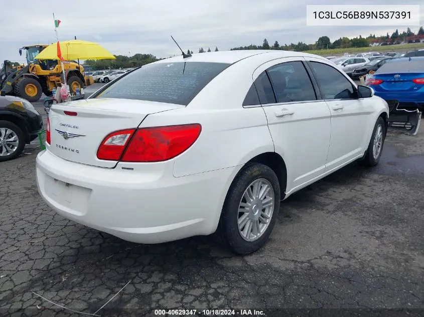 2009 Chrysler Sebring Touring VIN: 1C3LC56B89N537391 Lot: 40629347