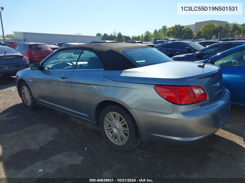 2009 Chrysler Sebring Touring VIN: 1C3LC55D19N501531 Lot: 40639931