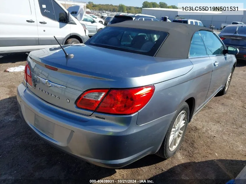 2009 Chrysler Sebring Touring VIN: 1C3LC55D19N501531 Lot: 40639931