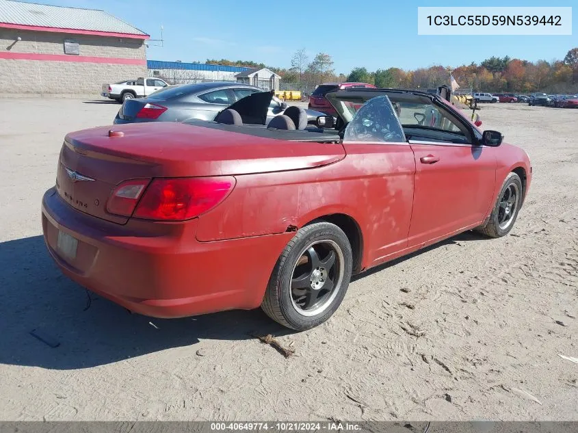 2009 Chrysler Sebring Touring VIN: 1C3LC55D59N539442 Lot: 40649774