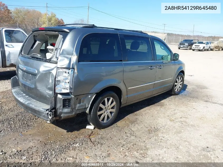 2009 Chrysler Town & Country Touring VIN: 2A8HR54129R645480 Lot: 40665511