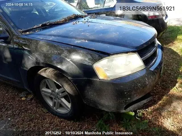 1B3LC56B39N561921 2009 Dodge Avenger Sxt