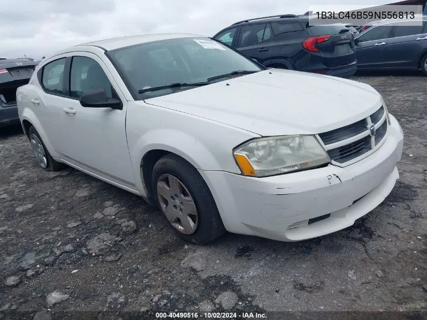 2009 Dodge Avenger Se/Sxt VIN: 1B3LC46B59N556813 Lot: 40490516