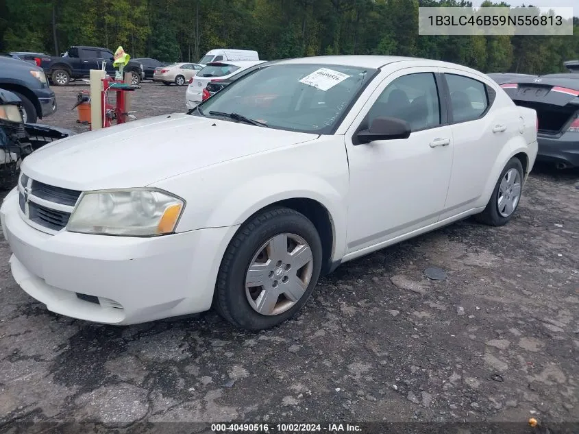 2009 Dodge Avenger Se/Sxt VIN: 1B3LC46B59N556813 Lot: 40490516